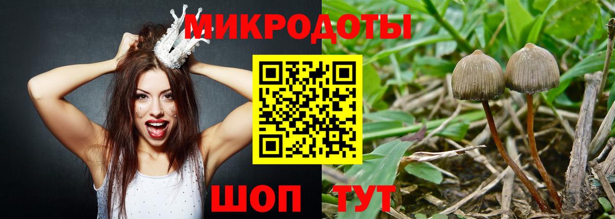 цены   Вход с VPN  Кашира  Галлюциногенные грибы Psilocybe 